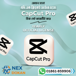 CapCut Pro