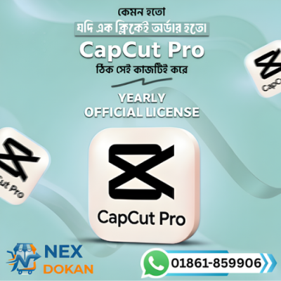 CapCut Pro